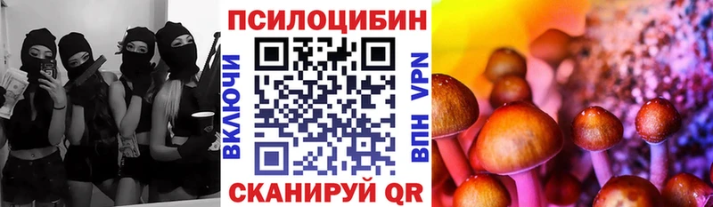 MEGA сайт  Красногорск  Галлюциногенные грибы Magic Shrooms 